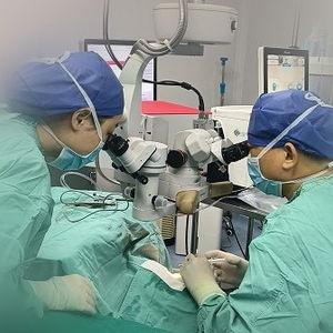 眼手术视频