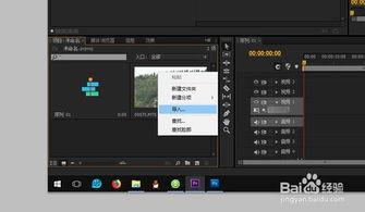 pr怎么导入视频